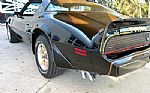 1981 Trans Am Thumbnail 15