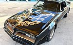 1981 Trans Am Thumbnail 20