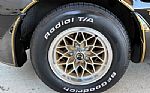 1981 Trans Am Thumbnail 22