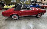 1965 230SL Pagoda Thumbnail 78
