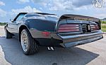1977 Firebird Roadster Trans Am Thumbnail 8