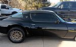 1979 Trans Am Thumbnail 7