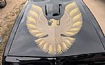 1979 Trans Am Thumbnail 19