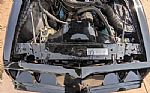 1979 Trans Am Thumbnail 22
