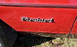 1980 Firebird Thumbnail 63