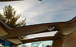 1978 Firebird Trans Am Thumbnail 8
