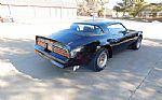 1978 Firebird Trans Am Thumbnail 30