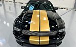 2007 Mustang Shelby GT Hertz Thumbnail 8