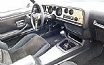1979 Firebird Trans Am Thumbnail 16