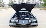 1979 Firebird Trans Am Thumbnail 43
