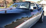 1978 Corvette 25th anniversary Pace Thumbnail 8