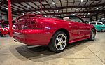 1996 Mustang SVT Cobra Thumbnail 8