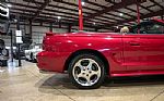 1996 Mustang SVT Cobra Thumbnail 9