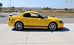 2004 Mach 1 Thumbnail 7