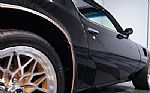 1981 Firebird Trans Am Thumbnail 22
