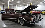 1979 Thunderbird Thumbnail 41