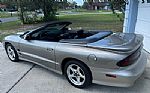 2000 Firebird Trans Am Thumbnail 8