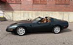 1991 Corvette Thumbnail 29