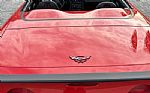 2001 Corvette Thumbnail 7