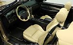 2005 Thunderbird Thumbnail 4