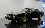 1977 Trans Am Y81 Special Edition Thumbnail 2