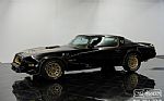 1977 Trans Am Y81 Special Edition Thumbnail 1