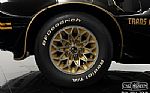 1977 Trans Am Y81 Special Edition Thumbnail 22