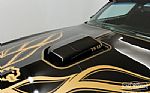 1977 Trans Am Y81 Special Edition Thumbnail 17