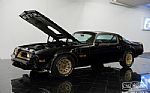 1977 Trans Am Y81 Special Edition Thumbnail 45