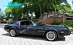 1979 Trans Am Special Edition Y84 Thumbnail 3