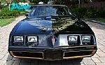 1979 Trans Am Special Edition Y84 Thumbnail 7