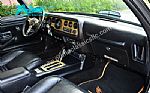 1979 Trans Am Special Edition Y84 Thumbnail 16