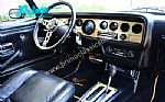 1979 Trans Am Special Edition Y84 Thumbnail 18