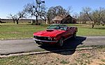 1969 Mustang Thumbnail 11