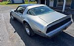 1979 Trans Am Thumbnail 23