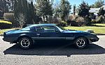 1979 Trans Am Thumbnail 8