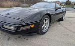 1991 Corvette ZR-1 Haibeck 500 Thumbnail 18
