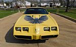 1979 Firebird Trans Am Thumbnail 4