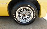 1979 Firebird Trans Am Thumbnail 8