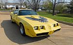 1979 Firebird Trans Am Thumbnail 12