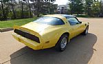 1979 Firebird Trans Am Thumbnail 16