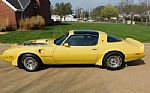 1979 Firebird Trans Am Thumbnail 20