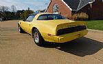 1979 Firebird Trans Am Thumbnail 22