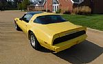 1979 Firebird Trans Am Thumbnail 21