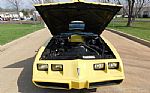 1979 Firebird Trans Am Thumbnail 38