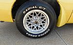 1979 Firebird Trans Am Thumbnail 50