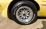 1979 Firebird Trans Am Thumbnail 52