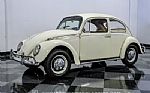 1966 Beetle Thumbnail 6