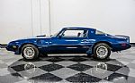 1979 Firebird Trans Am Thumbnail 2