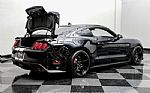 2020 Mustang Shelby GT350R Thumbnail 74
